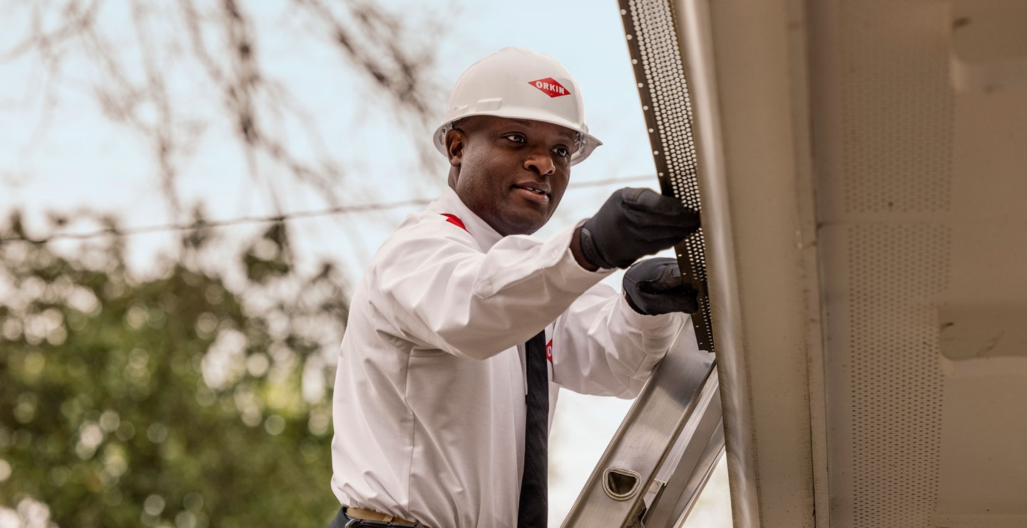 An Orkin Pro installing a leaf stopper to a customer's gutters