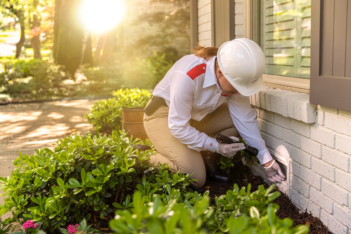 Orkin specialist shines flashlight under the house