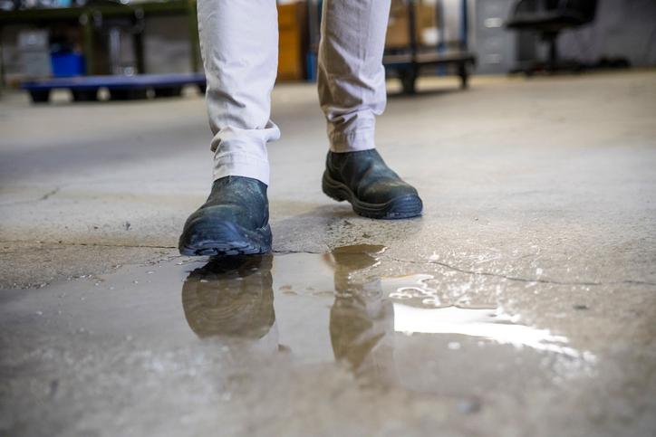 Leaky Drain In Food Processing Facility