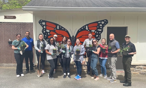 Orkin Marketing Department Volunteering at Dunwoody Nature Center at Dunwoody Park