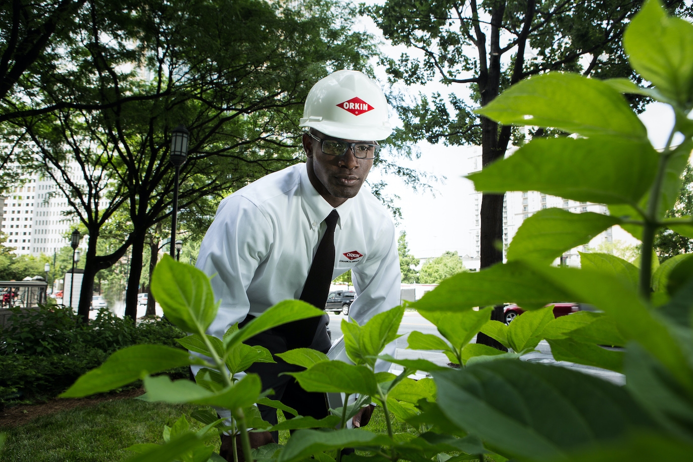 Orkin Pro inspecting for termite activity