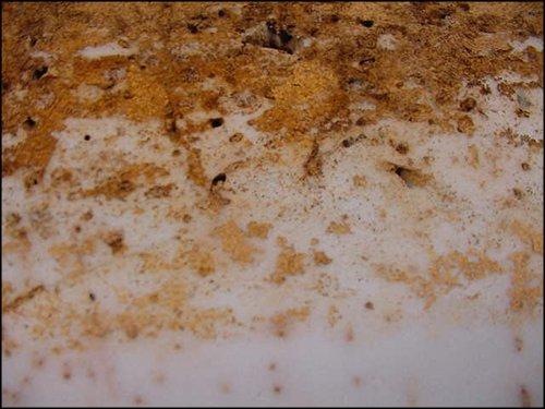 Termite Exit Holes In A Piece Of Insulation