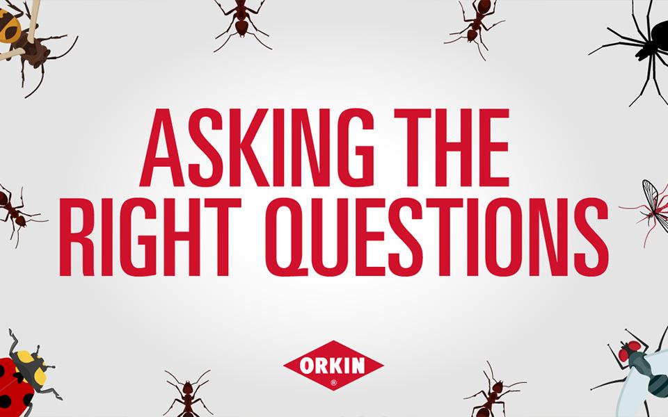 Asking the Right Questions Hero Image