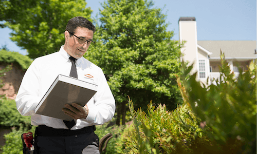 Orkin Commercial Pro Inspecting for mosquitoes outdoors