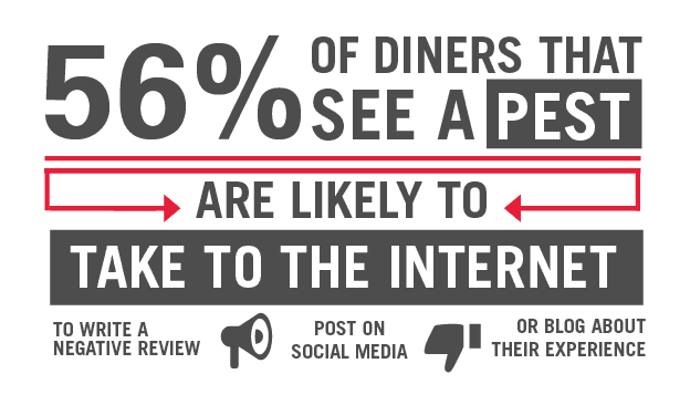 Restaurant Statistic Graphic